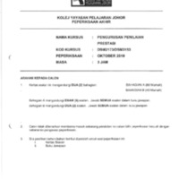 DSM2173 OKT2019_compressed.pdf